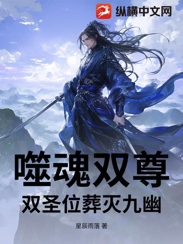 噬魂师kid双枪