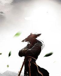 钻石婚宠免费阅读全文