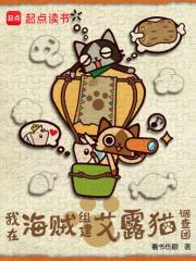 我在海贼做选择