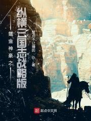 纵横之超级三国志