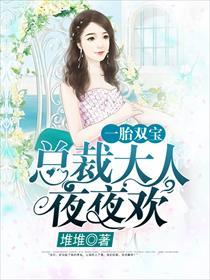 一胎双宝总裁大人夜夜欢全文完结