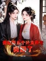 贵妃能有几个人