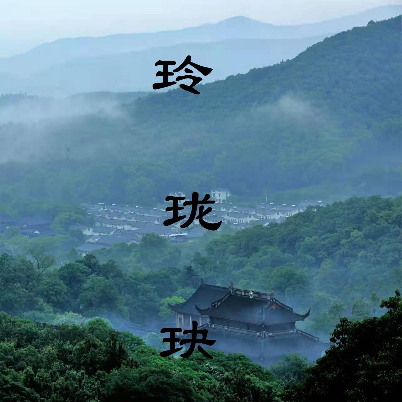 从傻柱开始的穿越