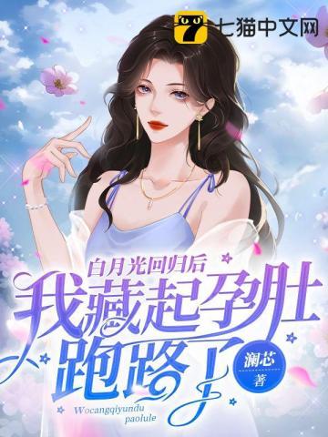 白月光回归后我藏起孕肚跑路了澜