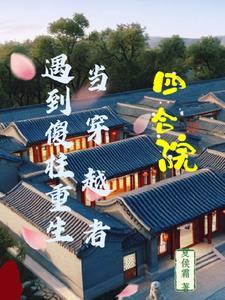 穿越四合院护傻柱