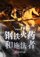 钢铁火药和施法者无错版