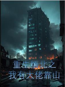重生缅甸现代军阀txt