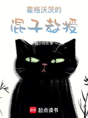 主角是霍格沃茨的教授