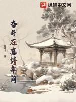 奋斗在嘉靖年间笔趣阁