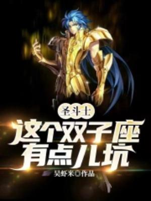 圣斗士星矢 双子座