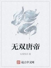 唐朝无双国士