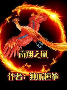 南翔zj