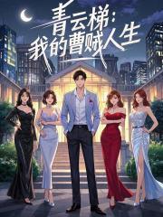 曹贼的剧情