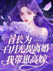 首长为白月光提离婚，我带崽高嫁